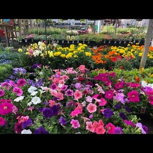 Meet your Posher, Alejandra